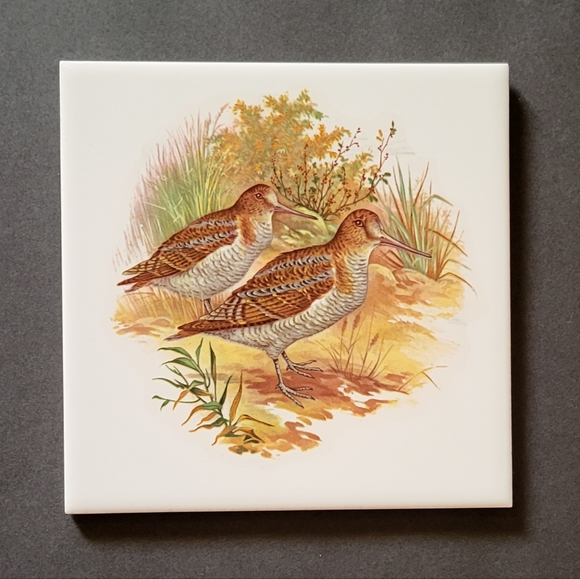 Plover Tile Deco/Trivit - Picture 1 of 3